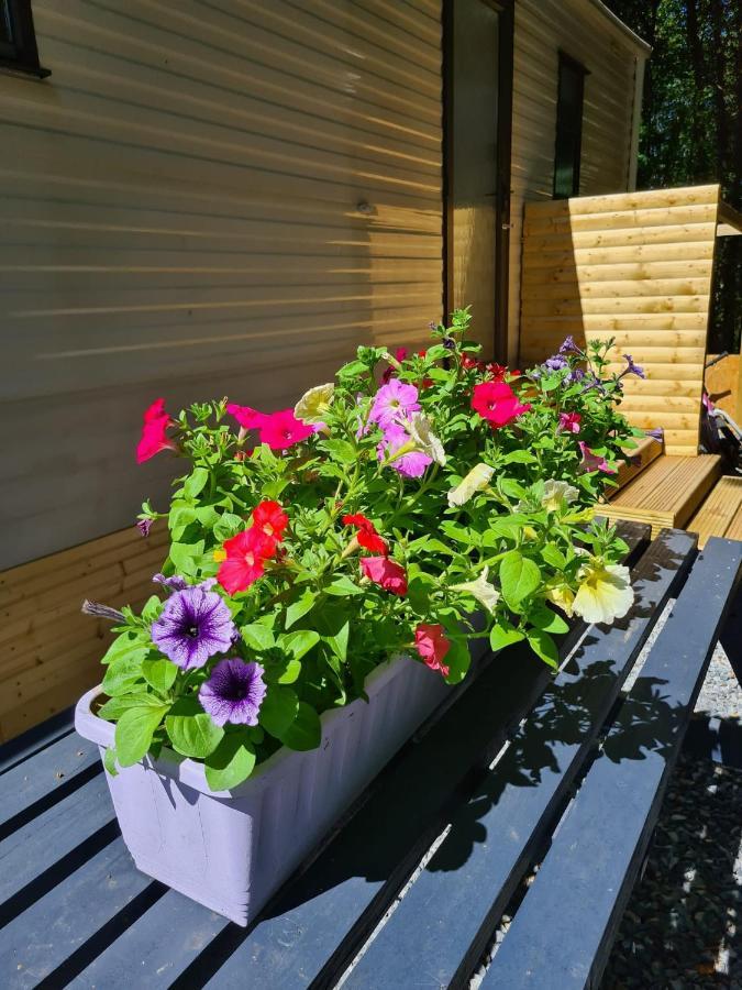 Unique Caravan With Outdoor Space Ballantrae Екстериор снимка